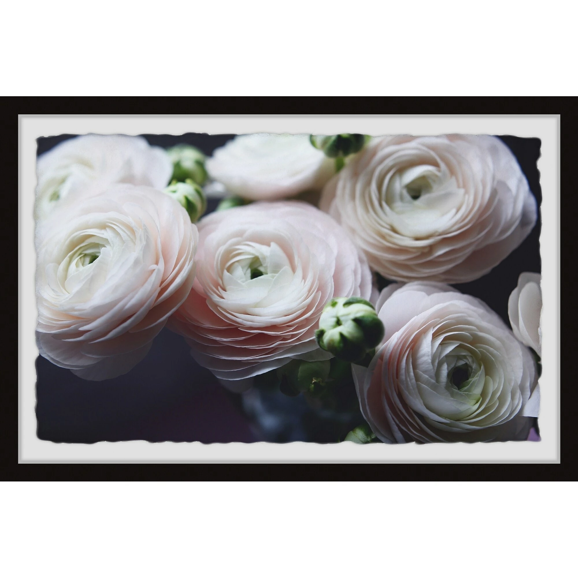 New ๐งจ Gracewood Hollow Delicate Rose Petals Framed Painting Print ๐