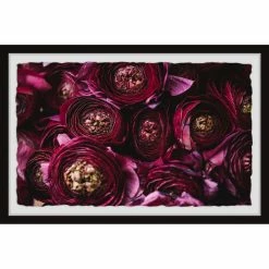 Best Sale 🧨 Gracewood Hollow Perfect Petals Framed Painting Print 😀