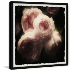 Flash Sale ❤️ Gracewood Hollow Roses And Shadows Framed Painting Print ⌛