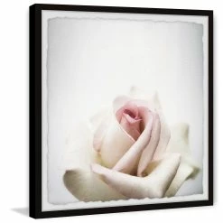 Best Pirce 🤩 Gracewood Hollow White Rose Closeup Framed Painting Print 🎉