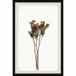 Cheapest 🛒 Gracewood Hollow Wilted Yellow Flowers Framed Painting Print ✔️