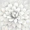 Cheapest 🧨 Gracewood Hollow White Mum Wrapped Canvas Print ⌛