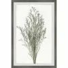 Cheap 🎁 Gracewood Hollow Wild Herbs Framed Painting Print 😍